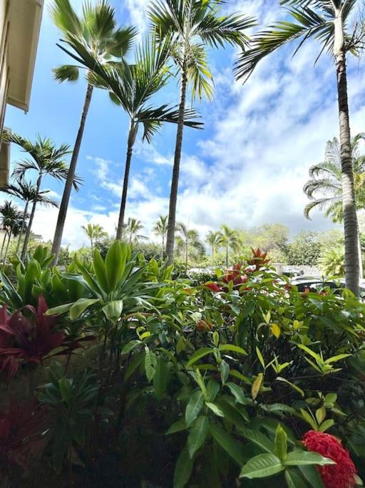 Amazing Condo Peaks Of Ocean View On Ali'I Dr By Surf Spots Kailua-Kona Exterior photo